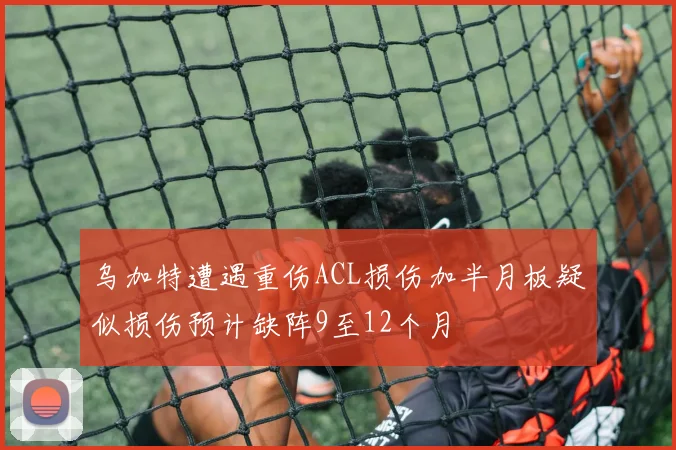 乌加特遭遇重伤ACL损伤加半月板疑似损伤预计缺阵9至12个月