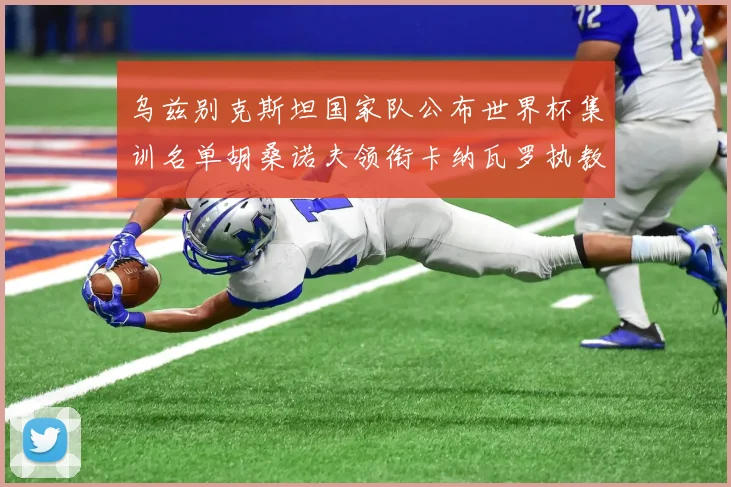 乌兹别克斯坦国家队公布世界杯集训名单胡桑诺夫领衔卡纳瓦罗执教